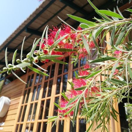 Paiyannoi Guesthome Чиангмай Экстерьер фото