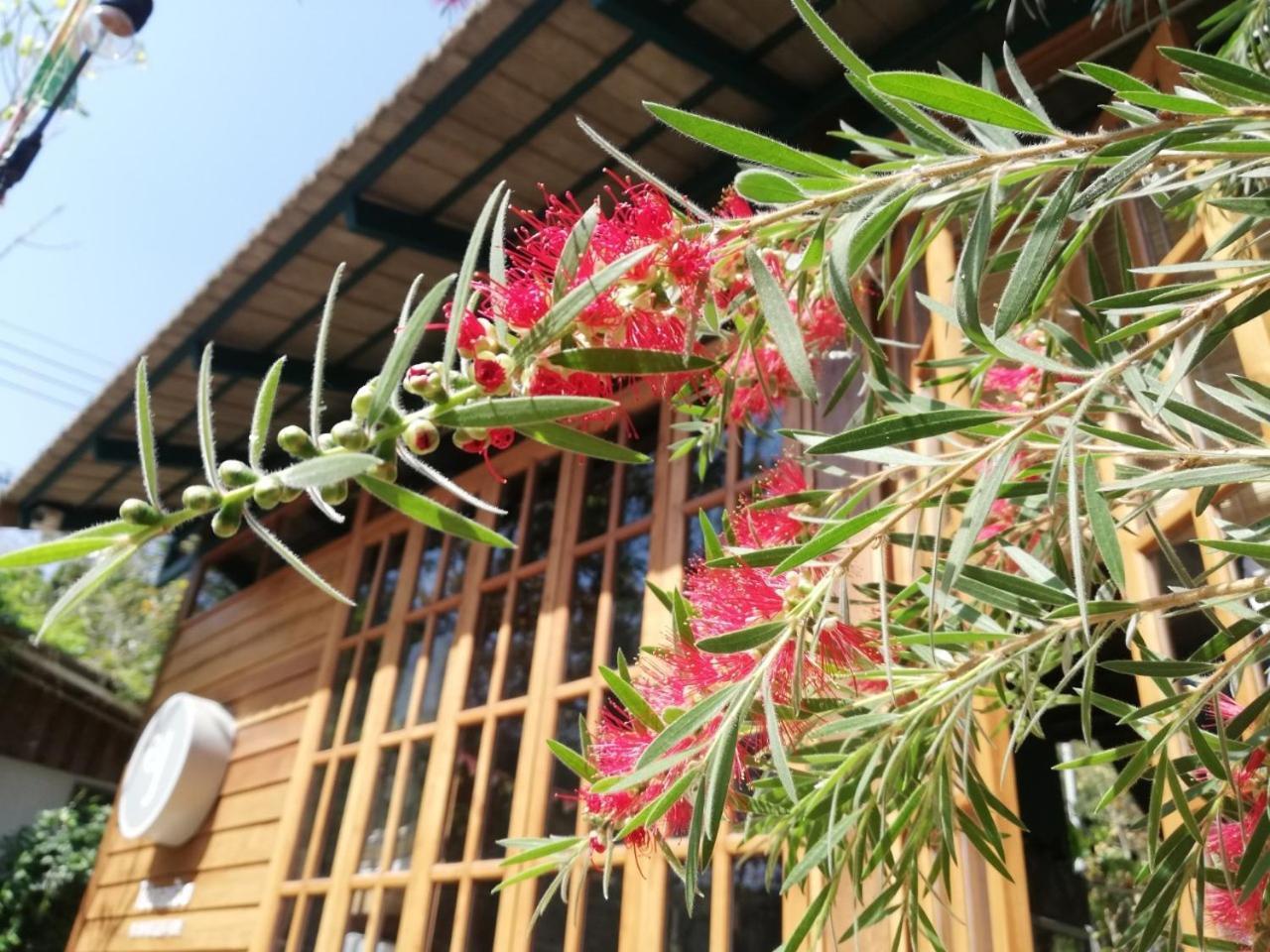 Paiyannoi Guesthome Чиангмай Экстерьер фото